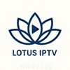 LotusIPTV