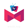 稳哥TV